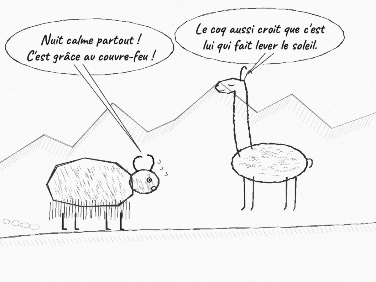 Dessin au crayon en noir et blanc. Sur une pente de montagne, un yak essoufflé arrive en courant vers Zénon le lama, debout de profil, yeux clos, l'air serein. Le yak s'exclame : « Nuit calme partout ! C'est grâce au couvre-feu ! » Zénon répond : « Le coq aussi croit que c'est lui qui fait lever le soleil. »